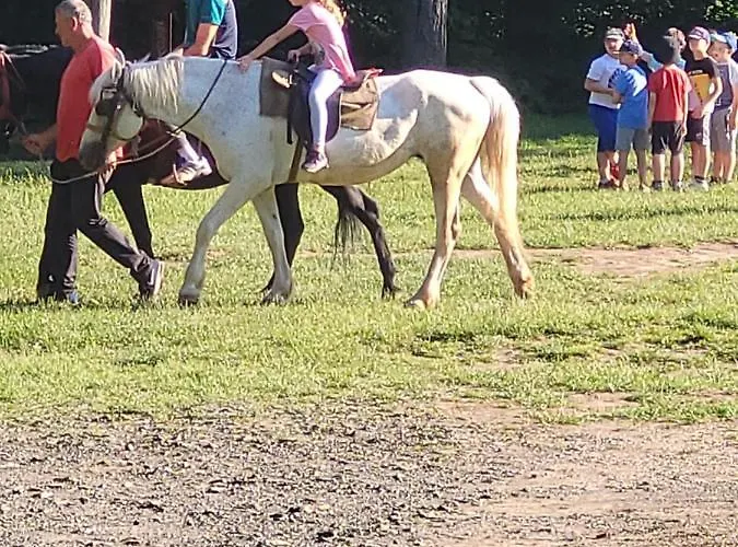 Lejlighed Krnjajic Diamond Hill *